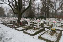 271435653_4846875578684509_2631706529822275653_n