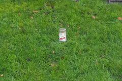 48421413_477177693104689_3450596396556615680_n