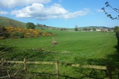 11052010_1706367892924066_5319263667286848384_n