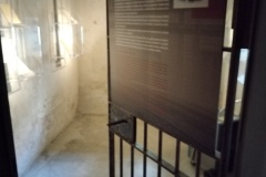 IMG_20220825_103129